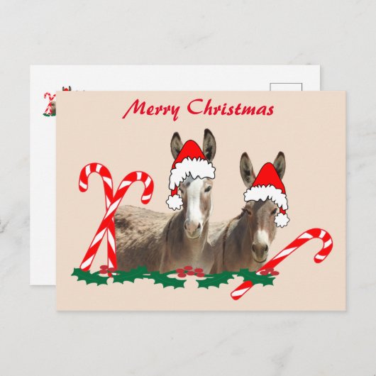 クリスマスポストカード、野生生物、ロバ葉書 ポストカード (正面/裏面)