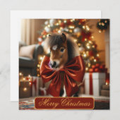 クリスマスポニー シーズンカード (正面/裏面)