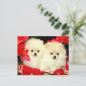 クリスマスポメラニア犬 シーズンポストカード (スタンド正面)