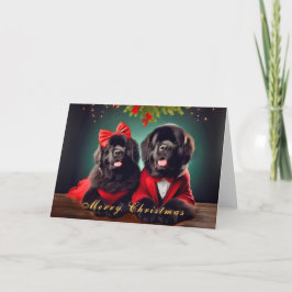 クリスマスポーズカードのニューファンドランド犬 シーズンカード