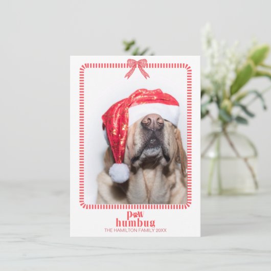 クリスマスポーフンバグペットフォトコケット シーズンカード (スタンド正面)