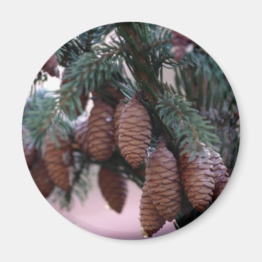 クリスマスマグネット マグネット (正面)