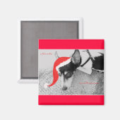 クリスマスマグネット、ラットテリア マグネット (正面/裏面)