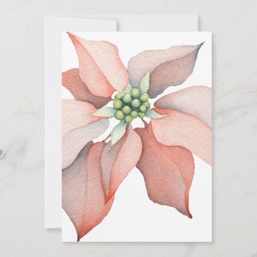 クリスマスマジック/ポインセチアの花束の結婚式 案内状 (裏面)