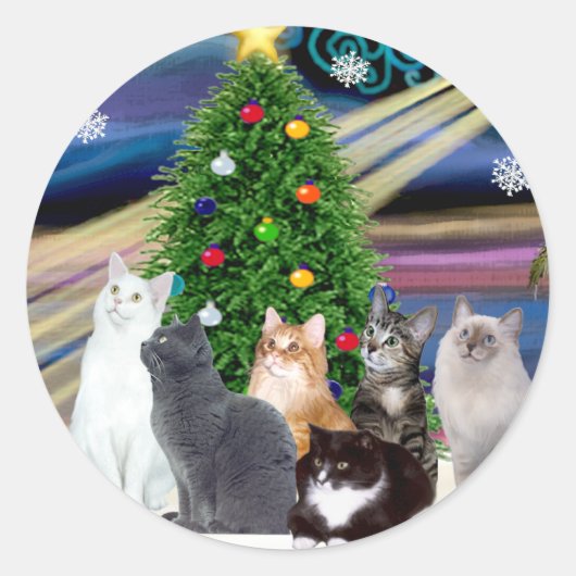 クリスマスマジック - 6匹の猫(バラエティー) ラウンドシール (正面)