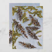 クリスマスマツの円錐常緑の枝カード シーズンカード (正面/裏面)