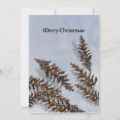 クリスマスマツの円錐常緑の枝カード シーズンカード (裏面)
