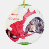 クリスマスミニチュアダシュカンドオーナメント-小妖精や小人 セラミックオーナメント (裏面)