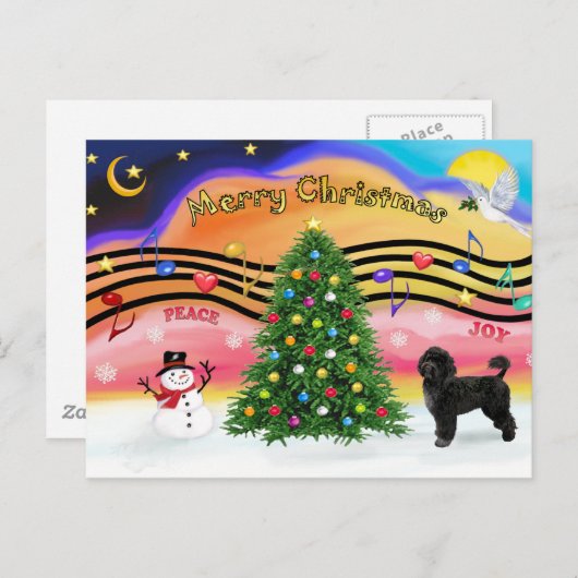 クリスマスミュージック2 -ポルトガルの水犬2 シーズンポストカード (正面/裏面)