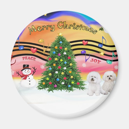 クリスマスミュージック2 - Bichon Frise (2) マグネット (正面)