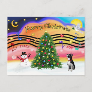 クリスマスミュージック2 - BostonTerrier2 シーズンポストカード