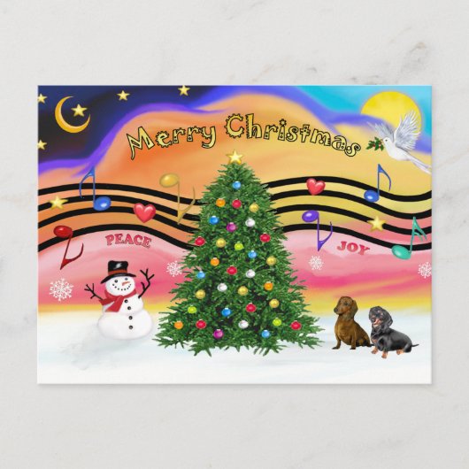 クリスマスミュージック2 - Dachshunds (2) シーズンポストカード (正面)