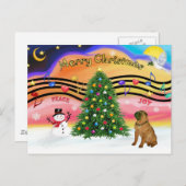 クリスマスミュージック2 - SharPei 4 シーズンポストカード (正面/裏面)