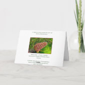 クリスマスメリーを過ごす シーズンカード (裏面)