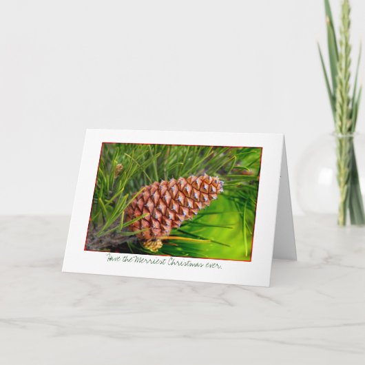 クリスマスメリーを過ごす シーズンカード (正面)