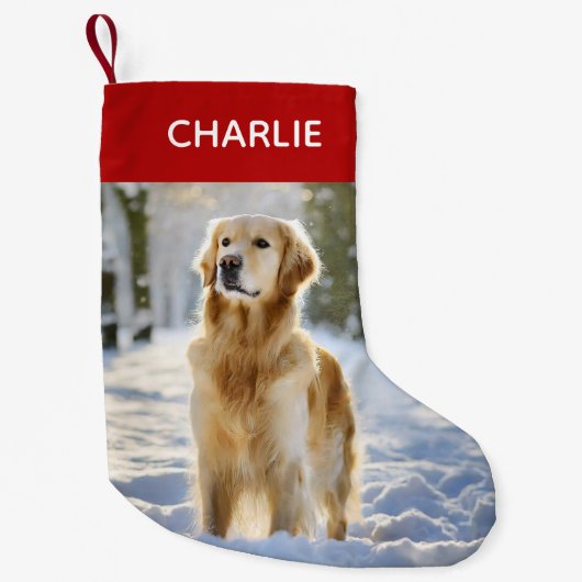 クリスマスモダンペットの写真 スモールクリスマスストッキング (正面)