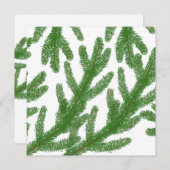 クリスマスモミの木の枝 シーズンカード (正面/裏面)