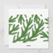 クリスマスモミの木の枝 シーズンカード (裏面)