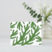 クリスマスモミの木の枝