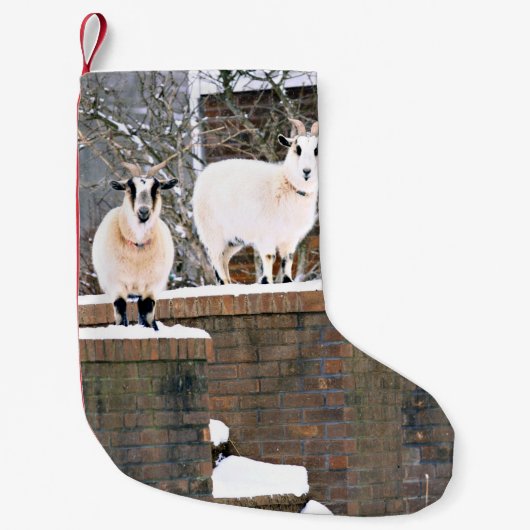クリスマスヤギ スモールクリスマスストッキング (正面)