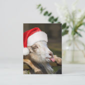 クリスマスヤギ ポストカード (スタンド正面)