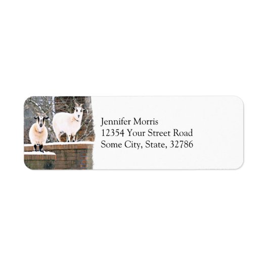 クリスマスヤギ ラベル (正面)