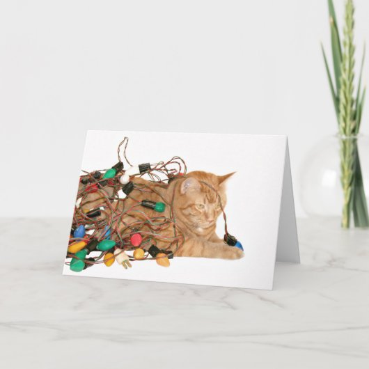 クリスマスライトに絡まった猫 シーズンカード (正面)