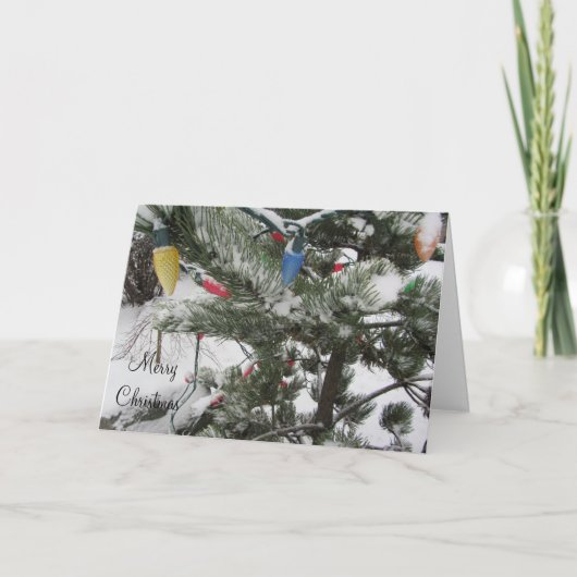 クリスマスライトのある雪の木 シーズンカード (正面)