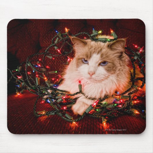 クリスマスライトの玉に座っている猫。 マウスパッド (正面)