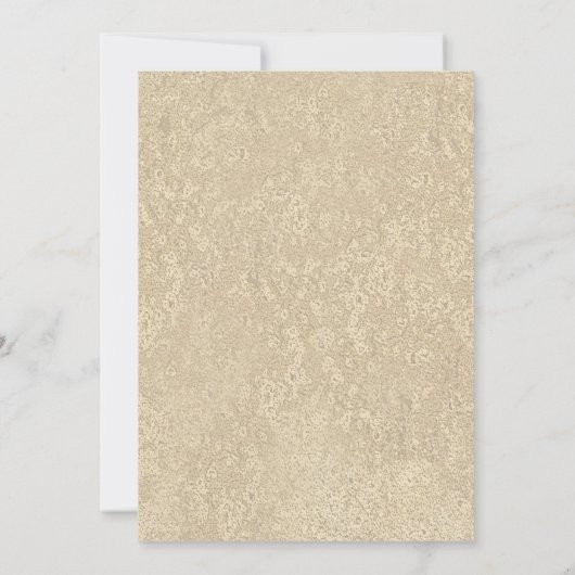 クリスマスライトサウスウエスタンサフサボスサボティホリデーパーティー 招待状 (裏面)