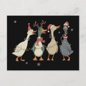 クリスマスライトダックスおもしろい動物農場の恋人 シーズンポストカード (正面)