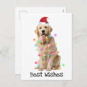 クリスマスライト付きゴールデンレトリバー シーズンポストカード (正面/裏面)