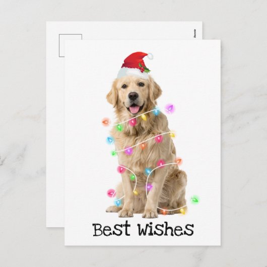 クリスマスライト付きゴールデンレトリバー シーズンポストカード (正面/裏面)