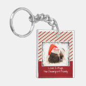 クリスマスライト付きサンタハットのクリスマスプグ キーホルダー (正面左)