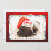 クリスマスライト付きサンタハットのクリスマスプグ シーズンカード (正面)