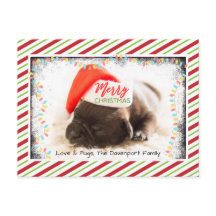 クリスマスライト付きサンタハットのクリスマスプグ