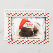 クリスマスライト付きサンタハットのクリスマスプグ シーズンポストカード (正面/裏面)