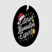クリスマスライト装飾の外装照明のプロ オーナメント (正面)