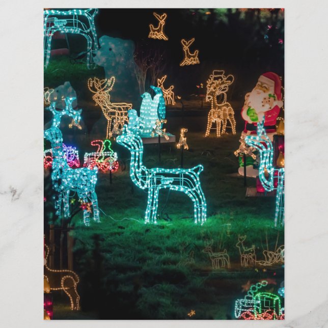 クリスマスライト (正面)