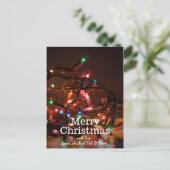 クリスマスライト シーズンポストカード (スタンド正面)