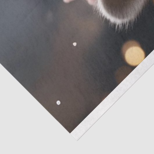 クリスマスラクーンピンクジャケットR.直面するデコページ 薄葉紙 (詳細)