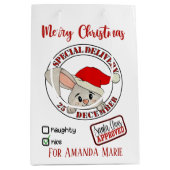 クリスマスラビットの特別な配信の名前を追加 ミディアムペーパーバッグ (正面)