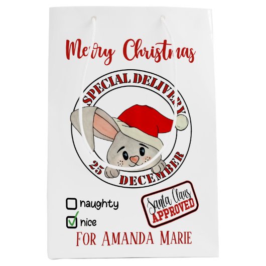 クリスマスラビットの特別な配信の名前を追加 ミディアムペーパーバッグ (正面)