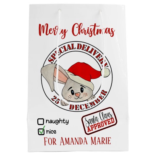 クリスマスラビットの特別な配信の名前を追加 ミディアムペーパーバッグ (裏面)
