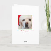 クリスマスラブラドールカード、ニット帽をかぶった犬 シーズンカード (裏面)