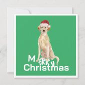 クリスマスラブラドールリトリエバードッグメリーグリーティング (正面)