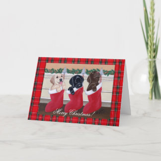 クリスマスラブラドール子犬 シーズンカード