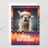 クリスマスラマ シーズンカード (正面/裏面)