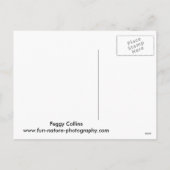 クリスマスリスことわざホーホホ シーズンポストカード (裏面)