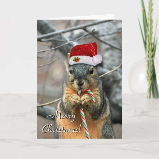 クリスマスリスのグリーティングカード シーズンカード (正面)